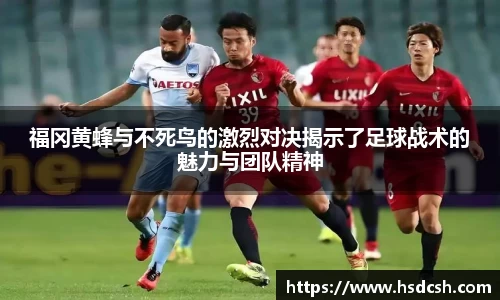 米兰体育官网